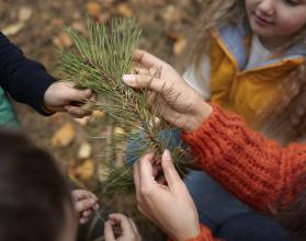 kids-learnign-about-environment