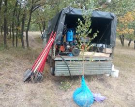 На Кумысной поляне заложили памятную аллею школьных лесничеств Саратовской области 