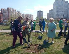 В этом году на территории Саратовской области при участии регионального министерства природных ресурсов и экологии проведено более 200 экологических мероприятий