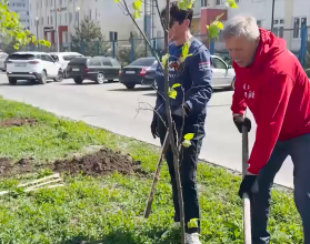 Реготделение Народного фронта создает аллею памяти героев Великой Отечественной войны в сквере на улице Лисина