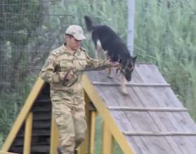 Ежедневно они проводят на тренировочных площадках по несколько часов