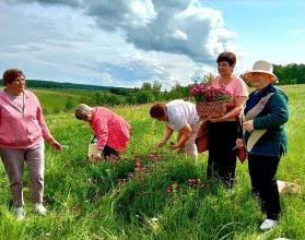 В регионе продолжается доставка на экскурсии подопечных социозащитных учреждений, проживающих в отдаленных районах