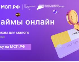 За 6 месяцев текущего года региональный Фонд микрокредитования субъектов малого предпринимательства предоставил бизнесу области 74 микрозайма на общую сумму 171,1 млн рублей