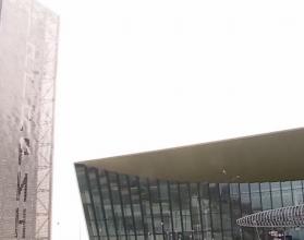 Из Саратова можно будет улететь в 12 направлениях, воспользовавшись услугами 9 авиакомпаний