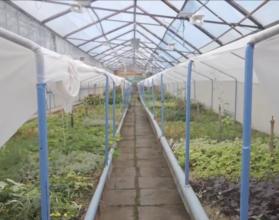 На базе Вавиловского университета состоялось рабочее совещание с участием исполняющего обязанности заместителя главы города по благоустройству Татьяны Рыхловой