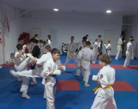 Копилка спортивных наград региона в ноябре пополнилась наградами международного и всероссийского уровня