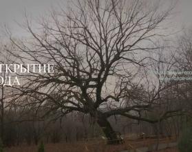 Специальный репортаж. Открытие года