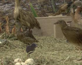 Сделать это можно, посетив одноименную выставку, которая открылась в музее краеведения