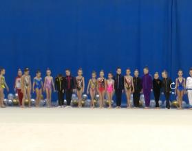 В спорткомплексе «Кристалл» устроили областные соревнования по художественной гимнастике «Зимняя сказка»