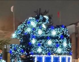 Помимо главной новогодней елки на Театральной площади праздничная красавица упала и на бульваре Героев Отечества в поселке Солнечном