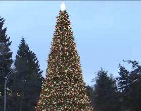Городской парк не исключение