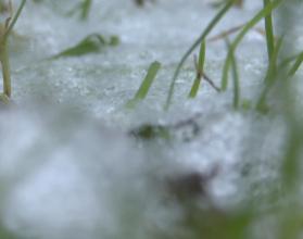 Синоптики и региональное управление МЧС сообщили об ухудшении погоды