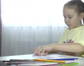 Девочка продает свои рисунки на одной из онлайн-платформ, а на вырученные средства вместе с родителями закупает корм для собачьего приюта