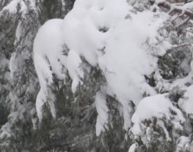 Сколько еще выпадет осадков на этой неделе?