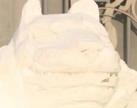 Жители города вдохновились ярким шоу с тиграми