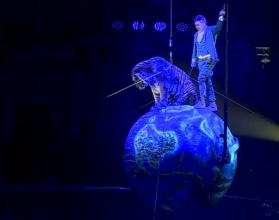 Уникальные акробатические номера, синхронные выступления животных и даже полет тигра на планете Земля