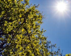 солнце небо тепло весна лето