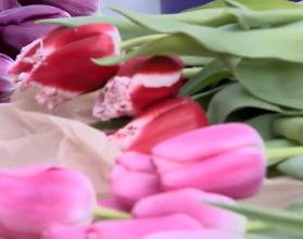 Купить букет для виновниц торжества можно почти по 70 адресам