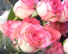 В этот раз ищут не нарушителей, а женщин-водителей и кондукторов общественного транспорта, чтобы поздравить их с наступающим праздником