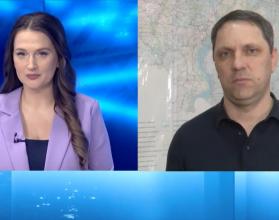 Свыше 2 тысяч деревьев и 12 тысяч кустарников высадили в прошлом году