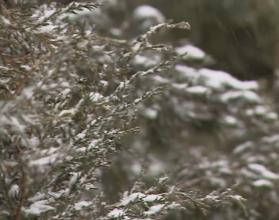 Зима не планирует сдаваться. Снежный сюрприз ждал всех жителей региона сегодняшним утром