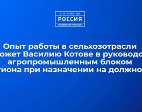 Опыт работы в сельхозотрасли поможет Василию Котове в руководстве агропромышленным блоком региона при назначении на должность