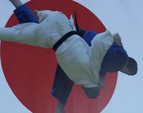 Достижения на уровне региона, страны и даже Европы