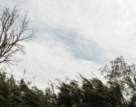 ветер природа погода freepik