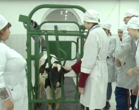 В нашей области таких специалистов чуть больше 2 тысяч человек