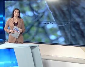 Температура ниже климатической нормы – так говорят о сегодняшней погоде синоптики