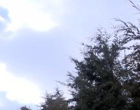 Пока по всей стране бушует стихия, в саратовском регионе относительно спокойно – светит солнце