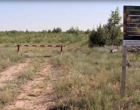 Такую статистику приводит Рослесхоз