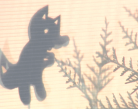 /