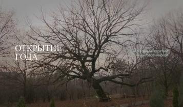 Специальный репортаж. Открытие года