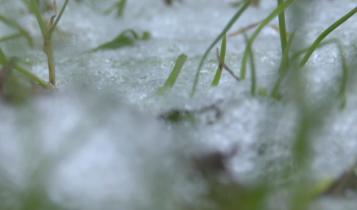 Синоптики и региональное управление МЧС сообщили об ухудшении погоды