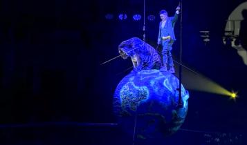 Уникальные акробатические номера, синхронные выступления животных и даже полет тигра на планете Земля