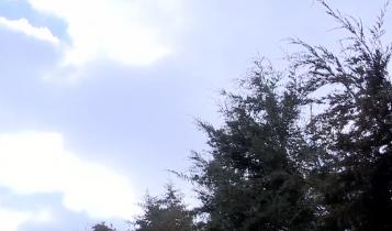 Пока по всей стране бушует стихия, в саратовском регионе относительно спокойно – светит солнце