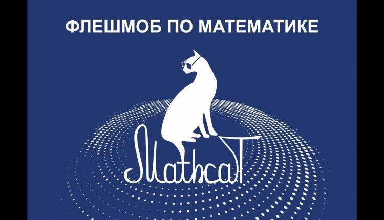 мэт кэт Паблик "Вконтакте" "MathCat. Математический флешмоб"