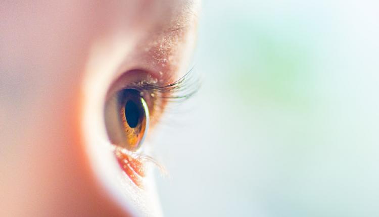 Human dark brown eyes close-up. Side look