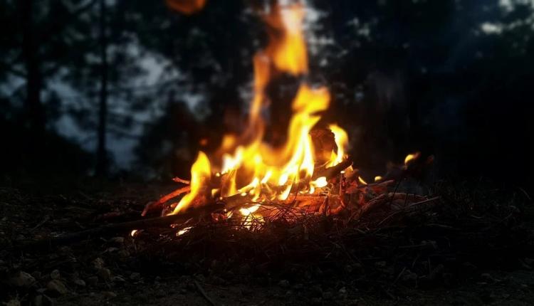пожар лес огонь