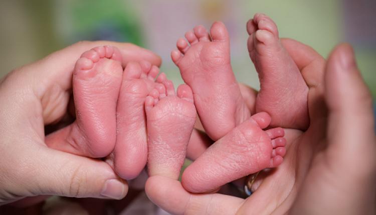 A mother is holding in the hands feet of newborn triplets baby.