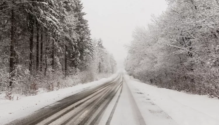 road-forest-winter_23-2147741987