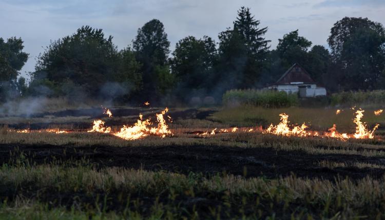 A fire burns in a field with dry grass.