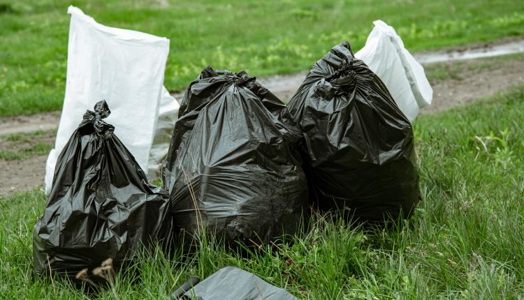 Close-up of garbage bags in the forest on the grass.