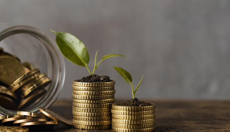 front-view-of-two-stacks-of-coins-with-jar-and-plants