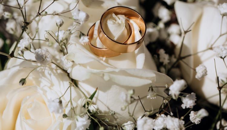 Golden wedding rings on the white rose from the wedding bouquet