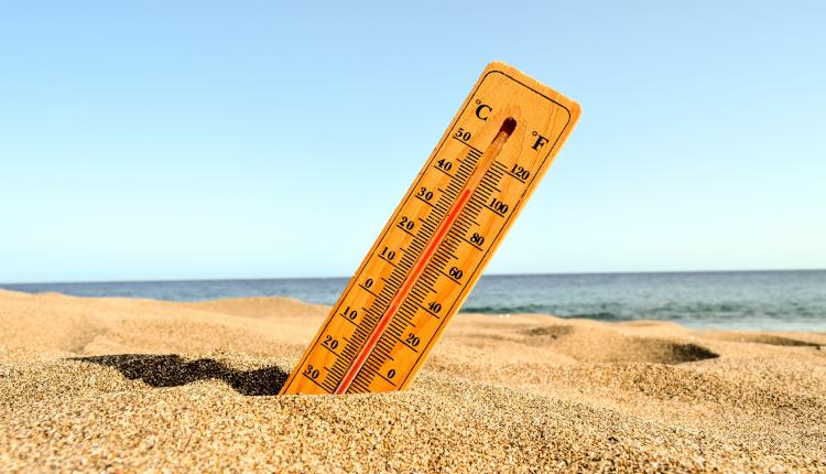 Selective focus shot of a thermometer in the beach sand with a blurred background