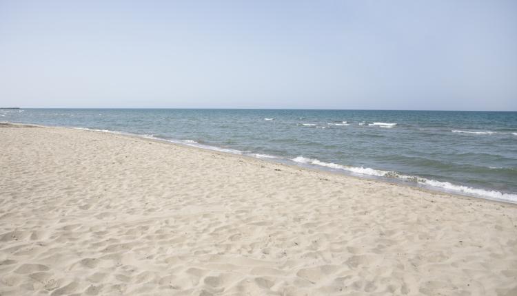 long-shot-of-the-seashore-on-summer-beach (1)