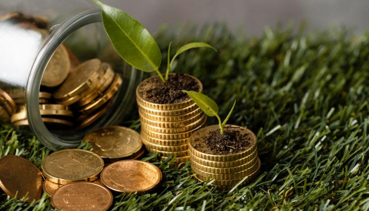 high-angle-of-two-stacks-of-coins-on-grass-with-jar-and-plants