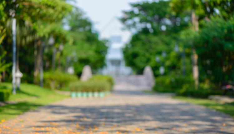 Blurred background : Blur park with bokeh light, natural backgro